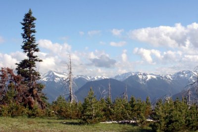 Deer Park in the Olympic National Park 04