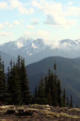 Deer Park in the Olympic National Park 01