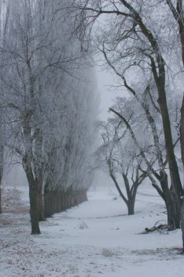 Frozen at attention