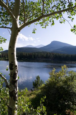 6th: Peaceful Peaks