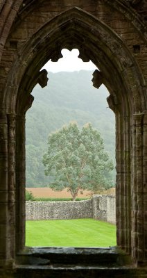 4th: Sacred tree