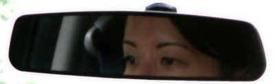 Rear View Mirror