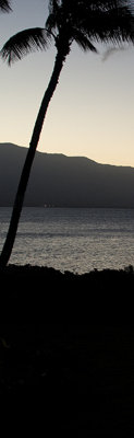 Paradise