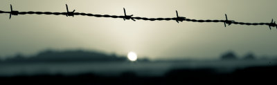 12: A Barbed Sunrise
