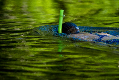 Despite High-Tech Snorkels, Police Divers Find Nothing