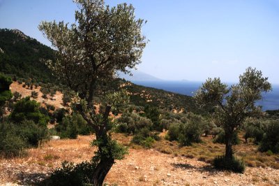 Samos