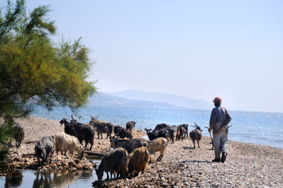 Samos