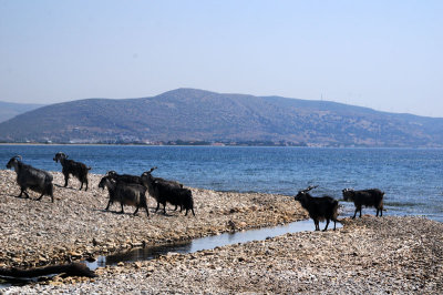 Samos