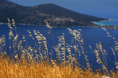 Samos