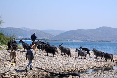 Samos