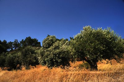 Samos