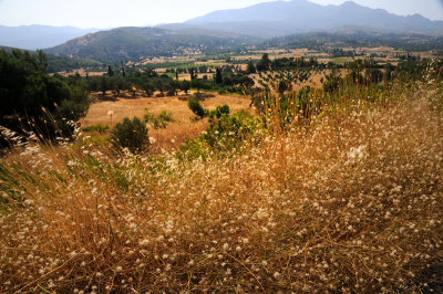 Samos