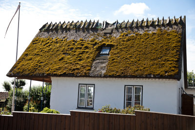 Thatched roof - complete with moss!