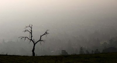 Before sunset on Crother's Rd