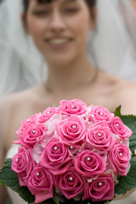 D2A_6839.jpg