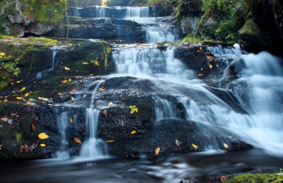 Waterfall in Cosby, TN