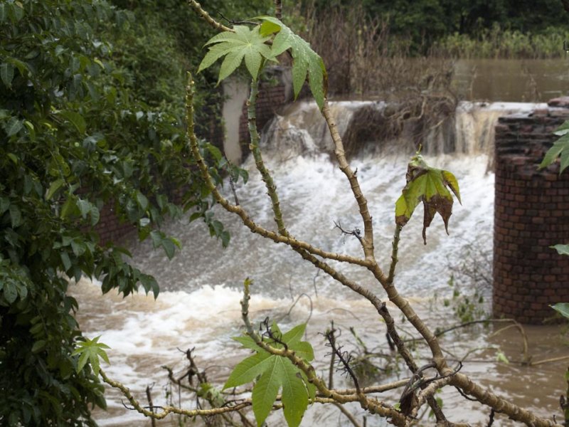 after the tropical storm Tomas