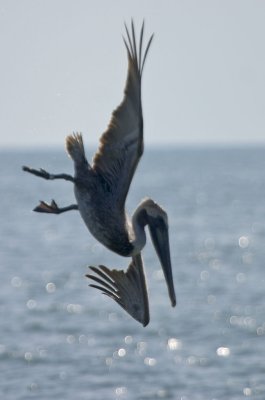 CRW_2244.jpg