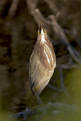 CRW_2614.jpg