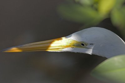 CRW_2733.jpg