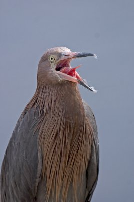 CRW_2823.jpg