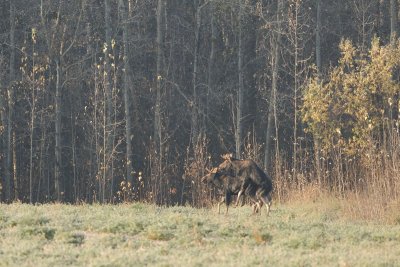 DSC_8667.jpg