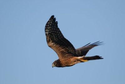 DSC_7613.jpg