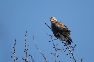 DSC_9676.jpg