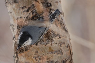 DSC_2161.jpg