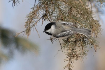 DSC_2631.jpg