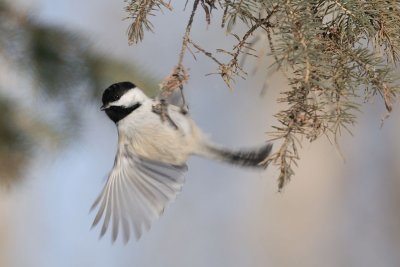 DSC_2636.jpg