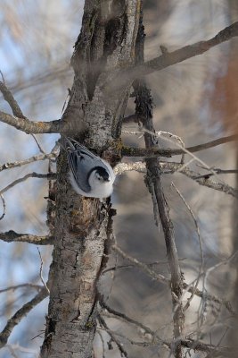 DSC_2652.jpg