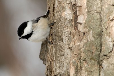 DSC_2840.jpg