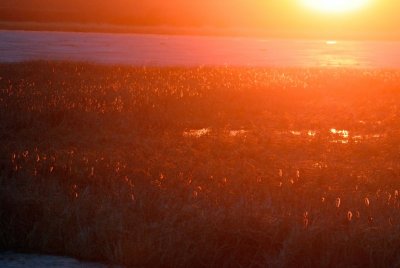 DSC_3989.jpg