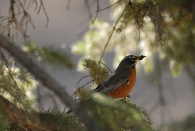 DSC_4666.jpg
