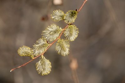 DSC_4760.jpg