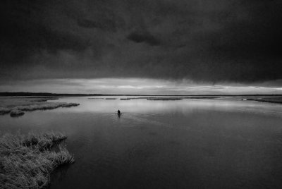 DSC_5172.jpg