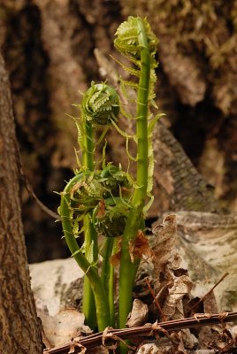 DSC_5364.jpg
