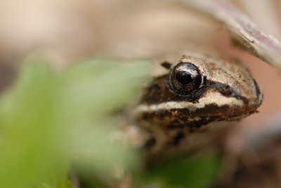DSC_5881.jpg