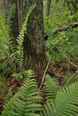 DSC_6622.jpg