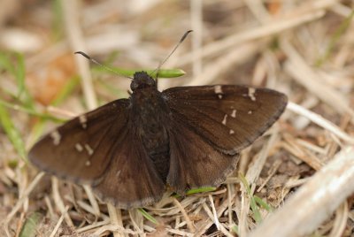 DSC_6681.jpg