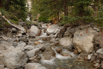 DSC_0255.jpg