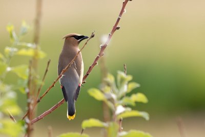 DSC_0855.jpg