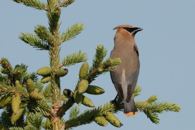 DSC_1138.jpg