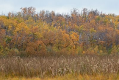 DSC_3135.jpg