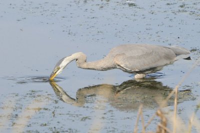 DSC_1235.jpg