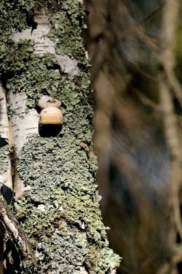 DSC_1189.jpg
