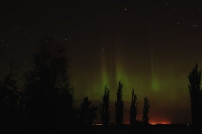 DSC_1385.jpg