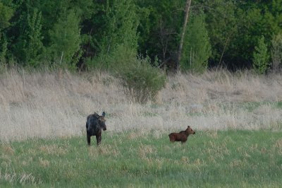 DSC_2070.jpg