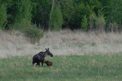 DSC_2074.jpg